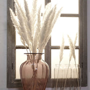 Aesthetic Vibe Reed dried flower