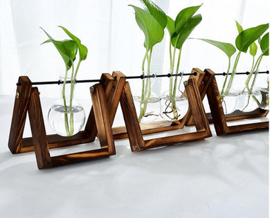 Glass Tabletop Plant