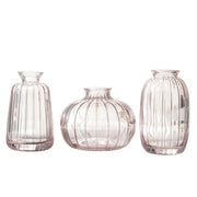 Minimalist Glass Vase