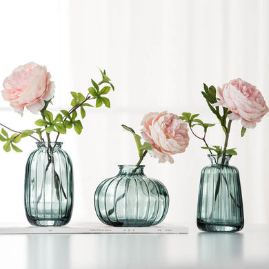 Minimalist Glass Vase