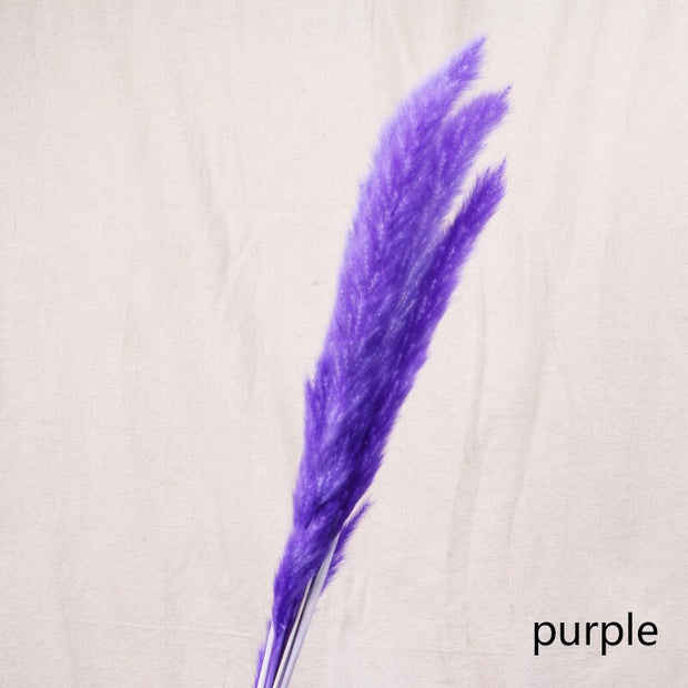 Aesthetic Vibe Reed dried flower