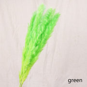 Aesthetic Vibe Reed dried flower