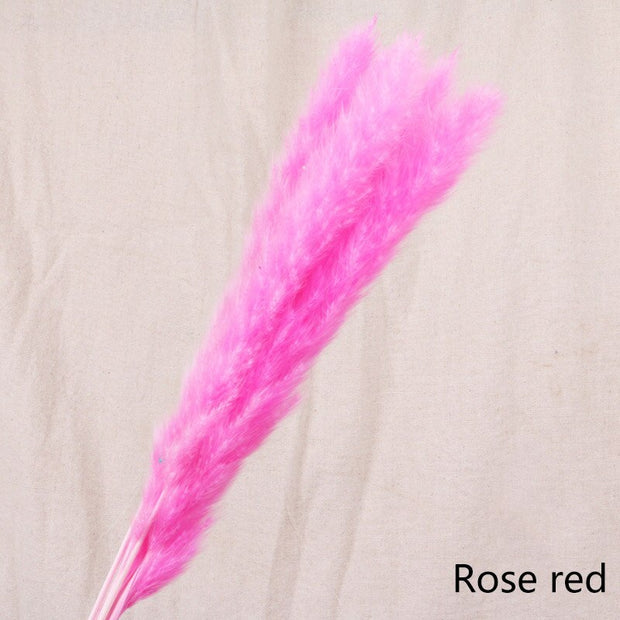 Aesthetic Vibe Reed dried flower