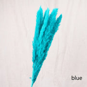 Aesthetic Vibe Reed dried flower