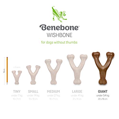 Wishbone Durable Dog Chew Toy for Aggressive Chewers, Made in USA