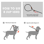 Fida Heavy Duty Dog Loop Leash with Highly Reflective threads