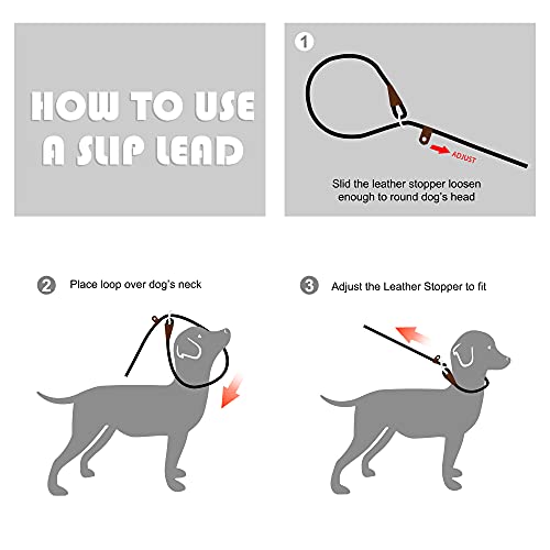 Fida Heavy Duty Dog Loop Leash with Highly Reflective threads