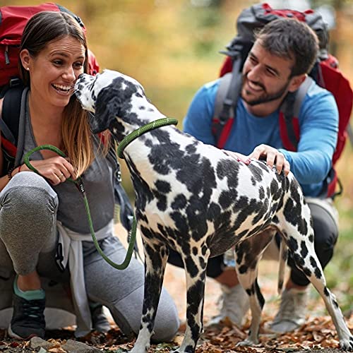 Fida Heavy Duty Dog Loop Leash with Highly Reflective threads