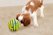Wobble Wag Giggle Ball Interactive Dog Toy, As Seen On TV