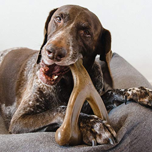 Wishbone Durable Dog Chew Toy for Aggressive Chewers, Made in USA