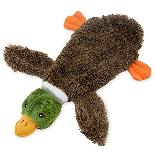 2-in-1 Stuffed Squeaky Dog Chew Toy