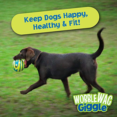 Wobble Wag Giggle Ball Interactive Dog Toy, As Seen On TV